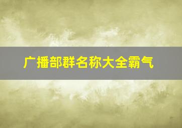 广播部群名称大全霸气