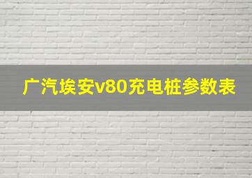 广汽埃安v80充电桩参数表