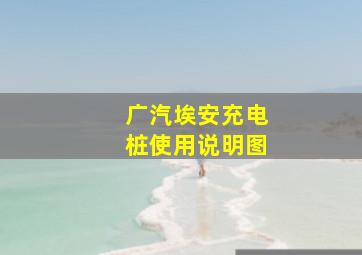 广汽埃安充电桩使用说明图