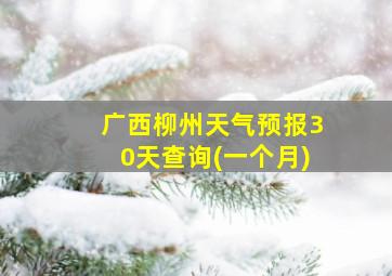 广西柳州天气预报30天查询(一个月)