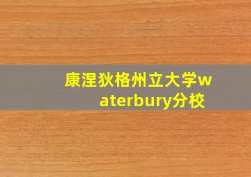 康涅狄格州立大学waterbury分校