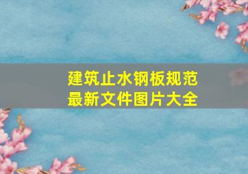 建筑止水钢板规范最新文件图片大全