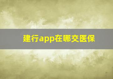 建行app在哪交医保