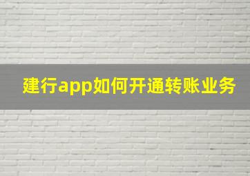 建行app如何开通转账业务