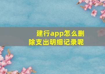 建行app怎么删除支出明细记录呢