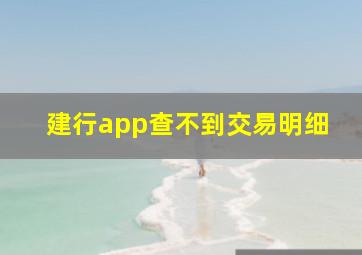 建行app查不到交易明细