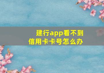 建行app看不到信用卡卡号怎么办