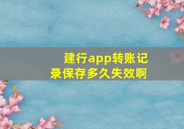 建行app转账记录保存多久失效啊