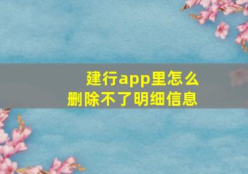 建行app里怎么删除不了明细信息