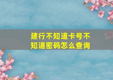 建行不知道卡号不知道密码怎么查询