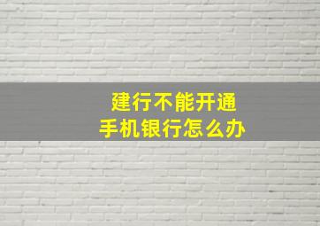 建行不能开通手机银行怎么办