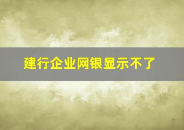 建行企业网银显示不了