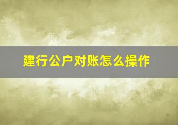 建行公户对账怎么操作