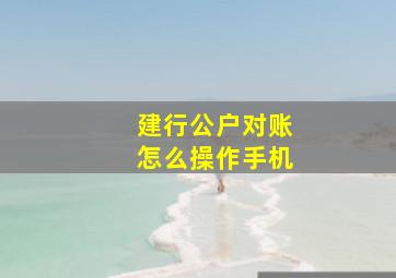 建行公户对账怎么操作手机