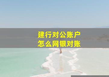 建行对公账户怎么网银对账