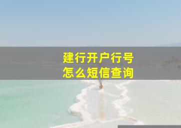 建行开户行号怎么短信查询