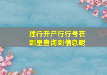 建行开户行行号在哪里查询到信息呢