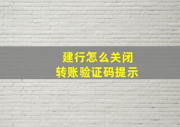 建行怎么关闭转账验证码提示