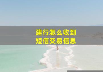 建行怎么收到短信交易信息