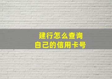 建行怎么查询自己的信用卡号