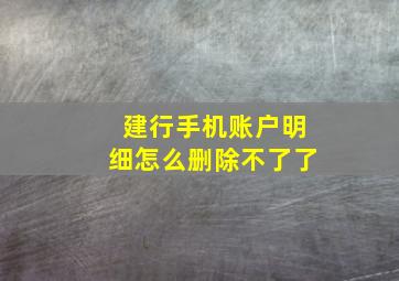 建行手机账户明细怎么删除不了了