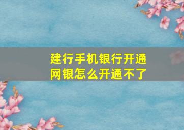 建行手机银行开通网银怎么开通不了