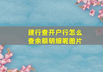 建行查开户行怎么查余额明细呢图片