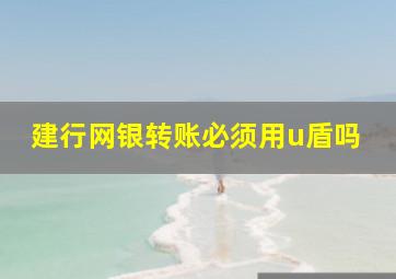 建行网银转账必须用u盾吗