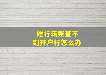 建行转账查不到开户行怎么办