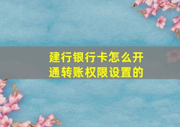 建行银行卡怎么开通转账权限设置的