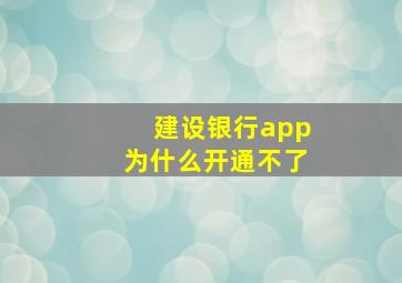 建设银行app为什么开通不了