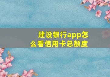 建设银行app怎么看信用卡总额度