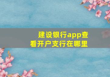 建设银行app查看开户支行在哪里