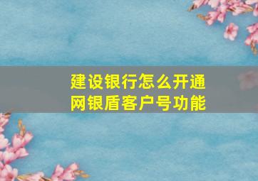 建设银行怎么开通网银盾客户号功能