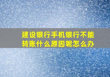 建设银行手机银行不能转账什么原因呢怎么办