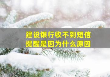 建设银行收不到短信提醒是因为什么原因