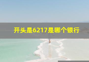 开头是6217是哪个银行