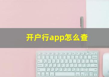 开户行app怎么查