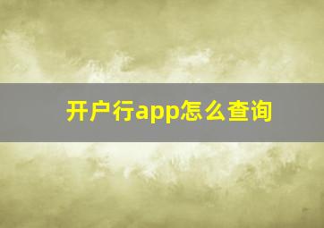 开户行app怎么查询