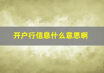 开户行信息什么意思啊