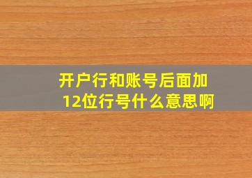 开户行和账号后面加12位行号什么意思啊