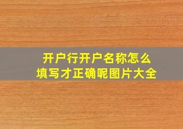 开户行开户名称怎么填写才正确呢图片大全