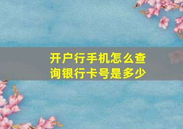 开户行手机怎么查询银行卡号是多少