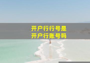 开户行行号是开户行账号吗