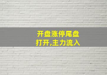 开盘涨停尾盘打开,主力流入