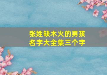 张姓缺木火的男孩名字大全集三个字