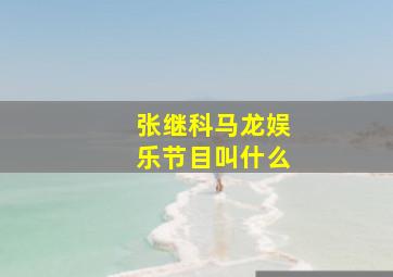 张继科马龙娱乐节目叫什么