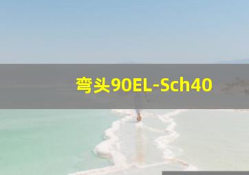 弯头90EL-Sch40