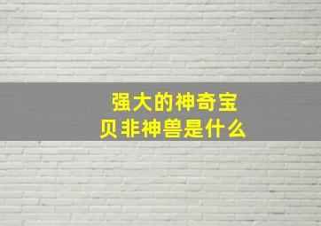 强大的神奇宝贝非神兽是什么