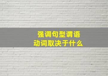 强调句型谓语动词取决于什么